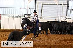 13usn_28310 proof