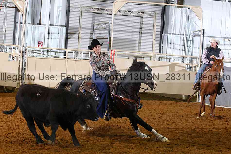 Proof 13usn_28311