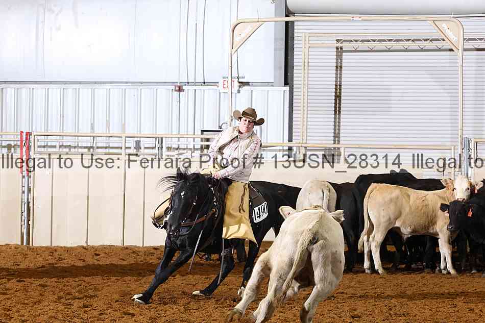 Proof 13usn_28314