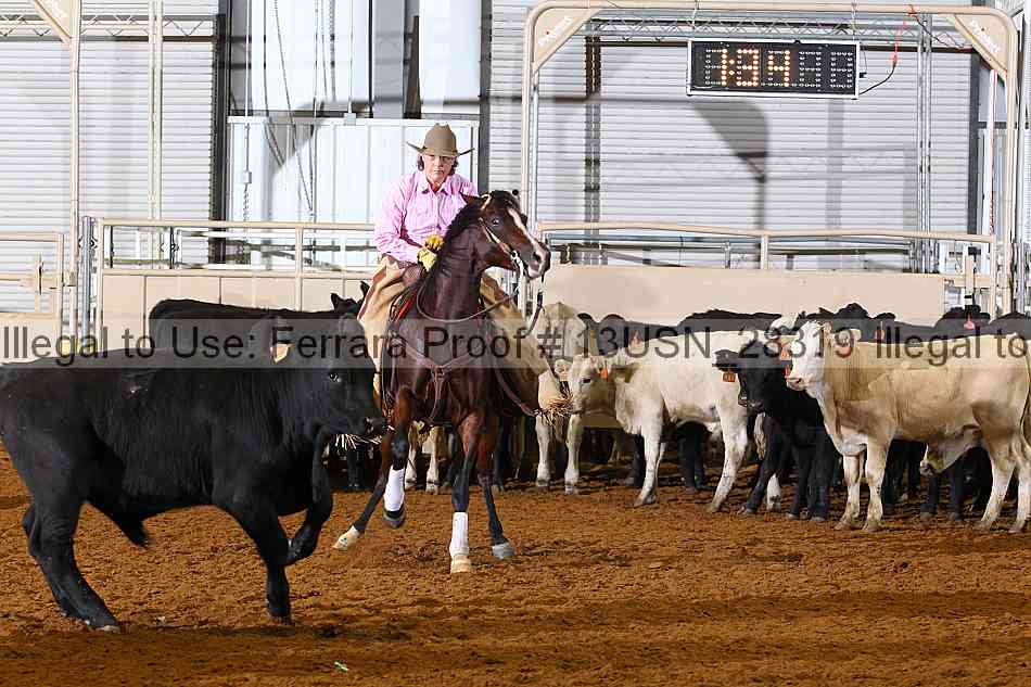 Proof 13usn_28319