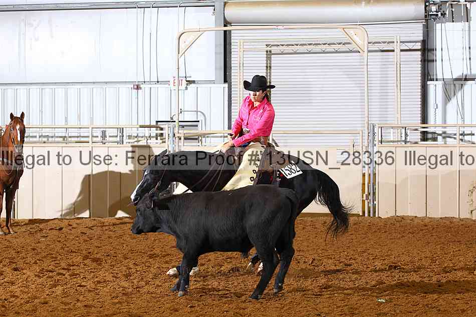 Proof 13usn_28336