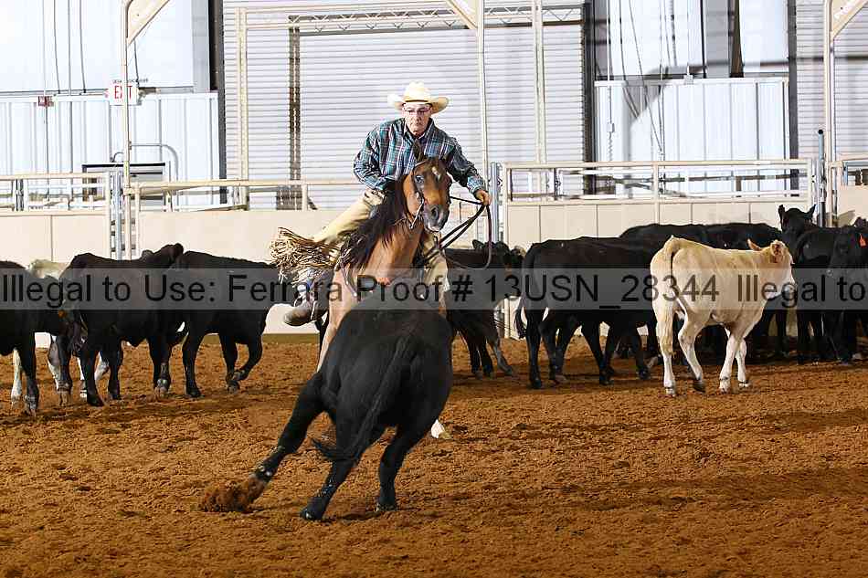 Proof 13usn_28344
