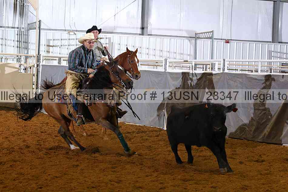 Proof 13usn_28347
