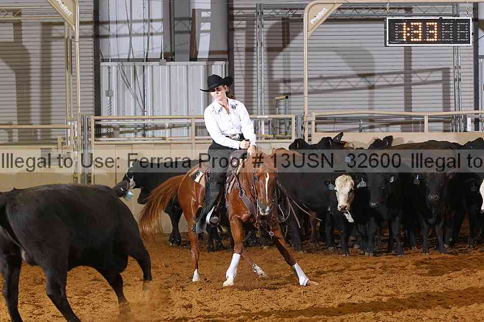 Proof 13usn_32600