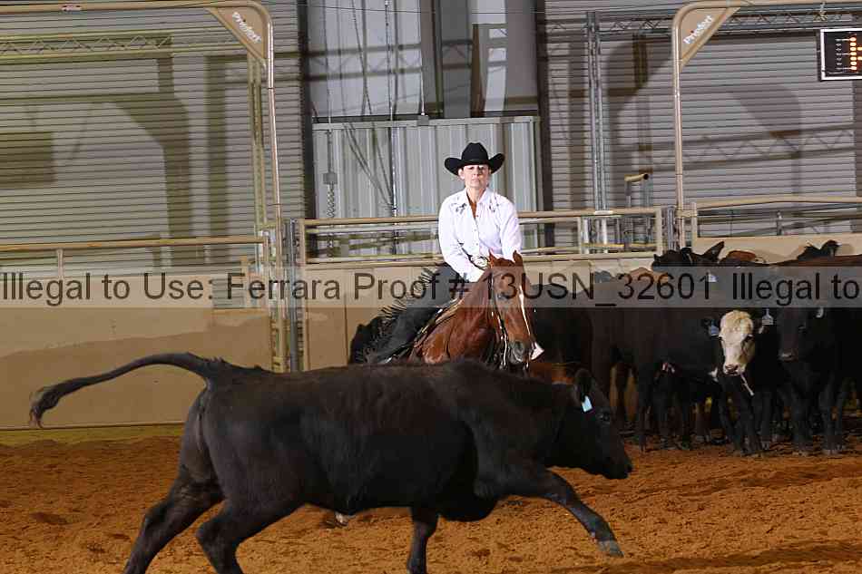 Proof 13usn_32601