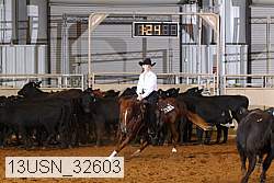 13usn_32603 proof