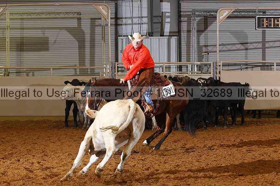 Proof 13usn_32689