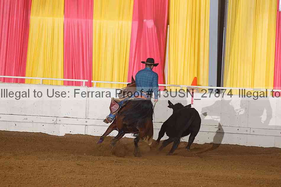 Proof 13usn_27874
