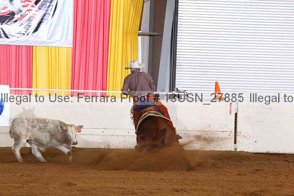 Proof 13usn_27885