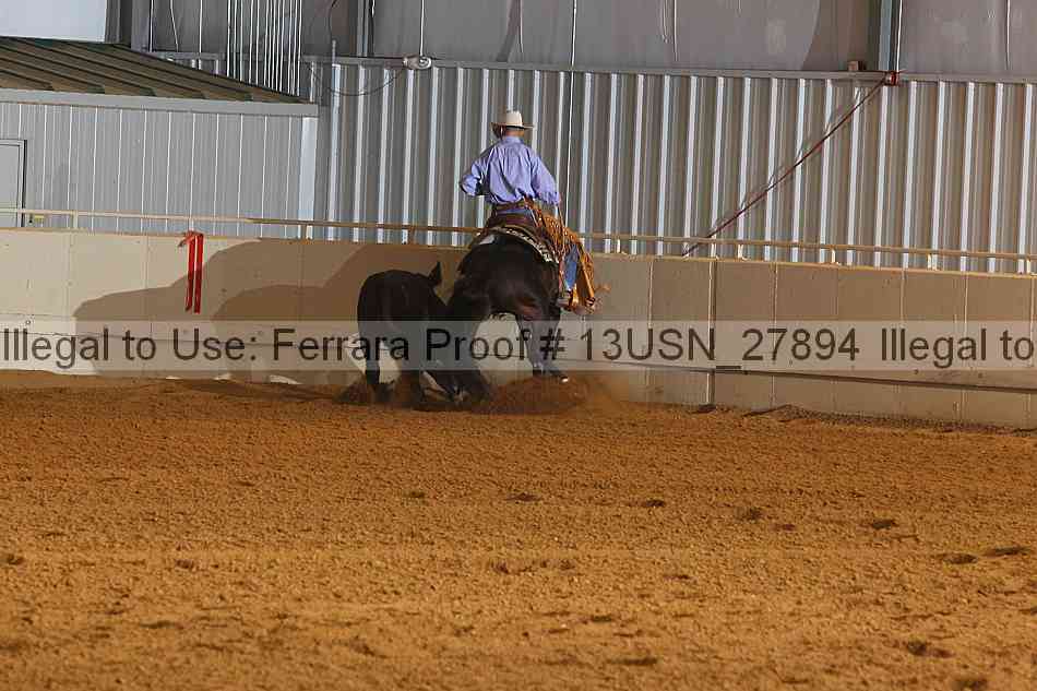 Proof 13usn_27894