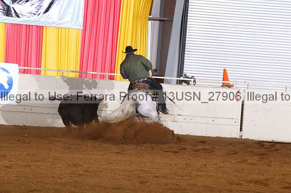 Proof 13usn_27906