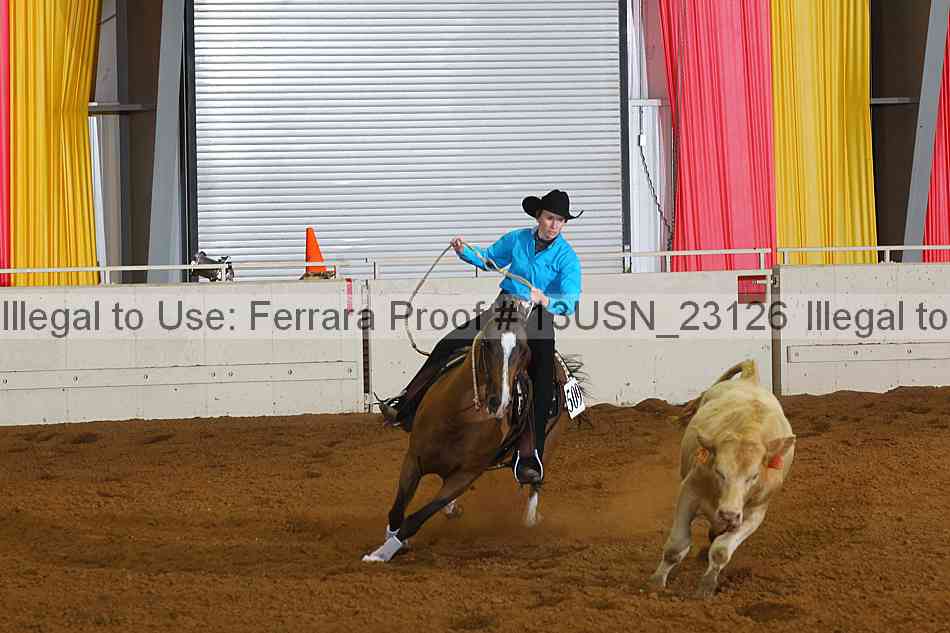 Proof 13usn_23126