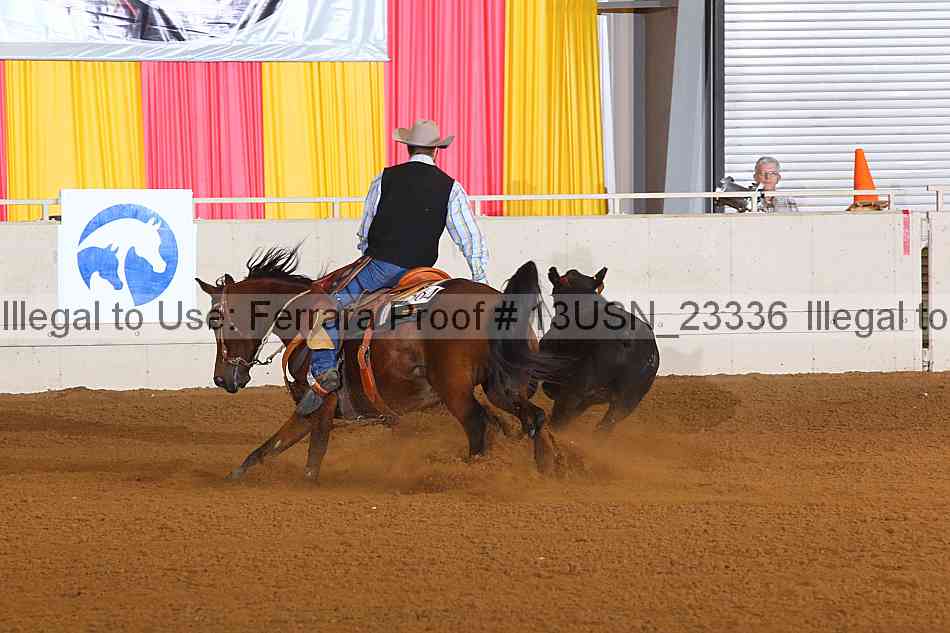 Proof 13usn_23336