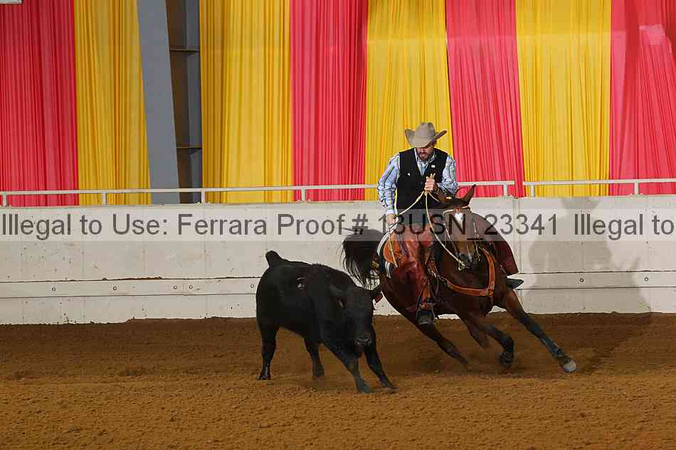 Proof 13usn_23341