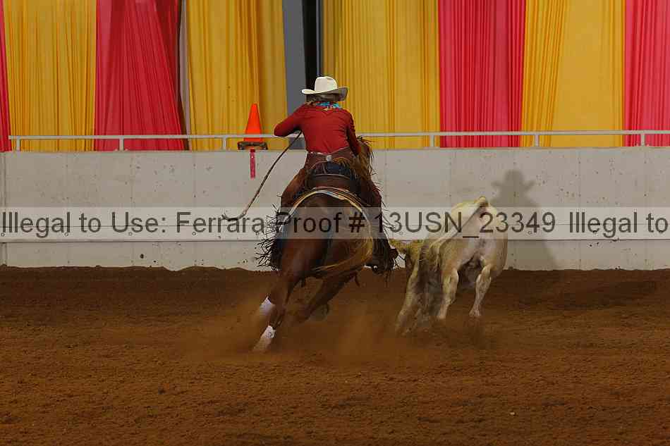 Proof 13usn_23349