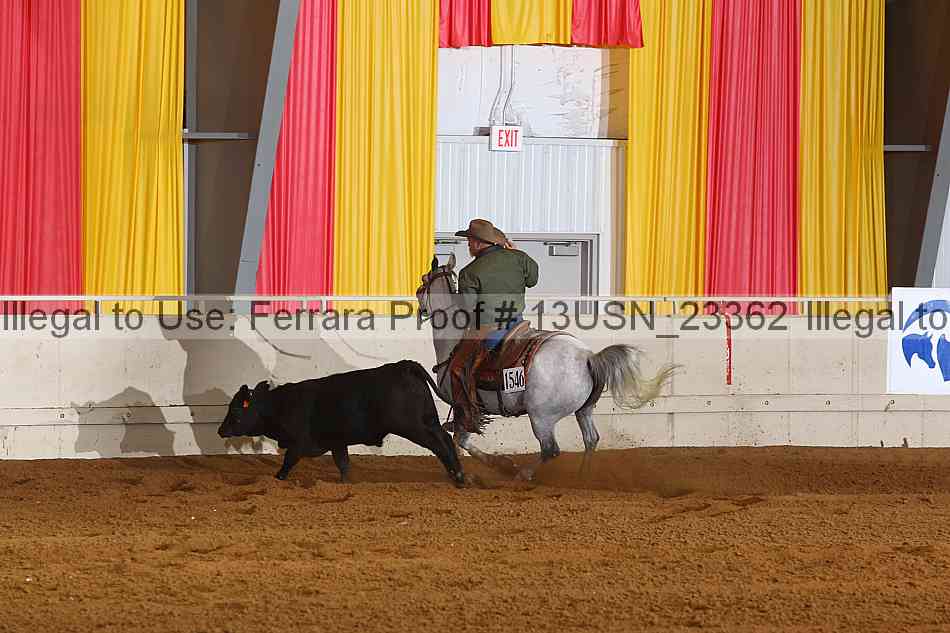 Proof 13usn_23362
