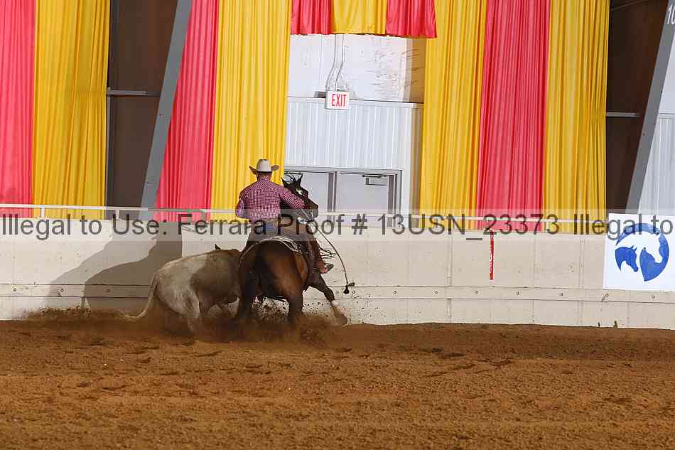 Proof 13usn_23373