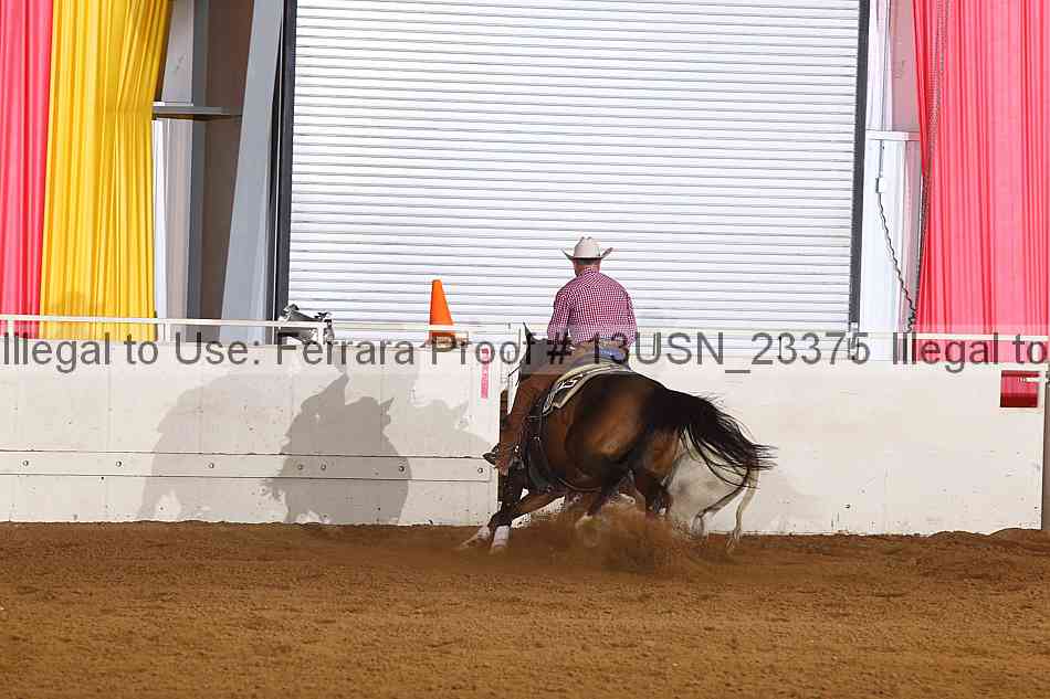 Proof 13usn_23375
