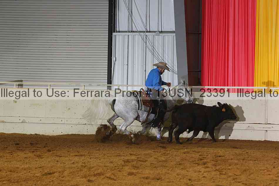Proof 13usn_23391