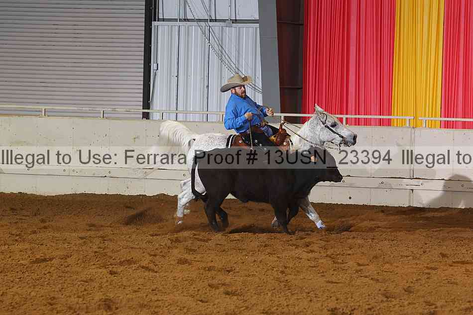 Proof 13usn_23394
