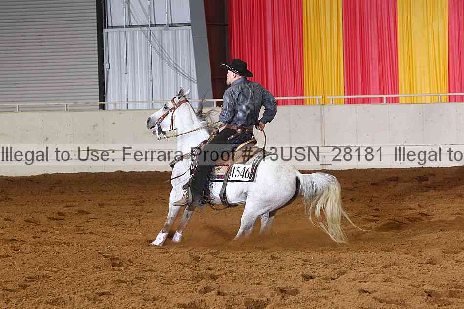 Proof 13usn_28181