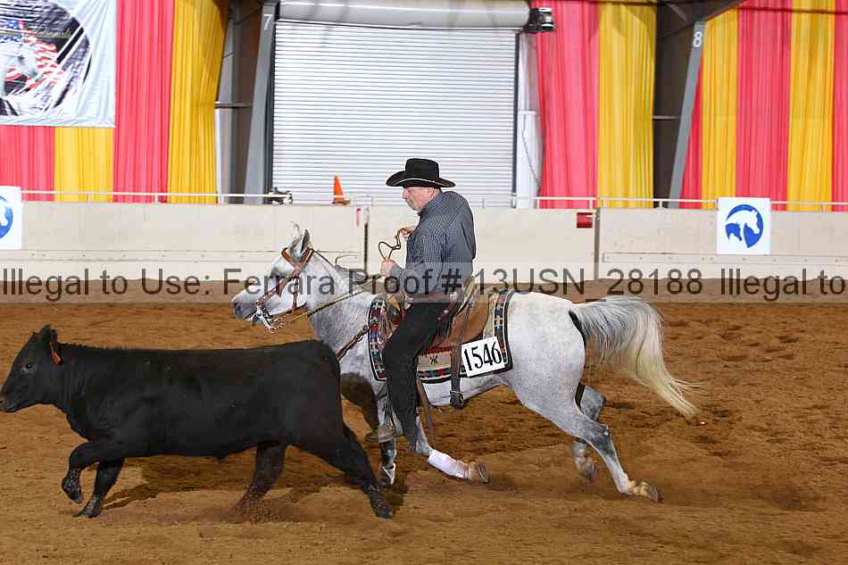 Proof 13usn_28188