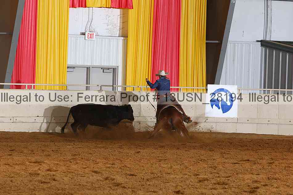 Proof 13usn_28194