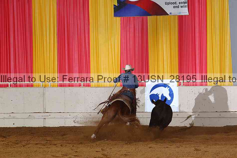 Proof 13usn_28195