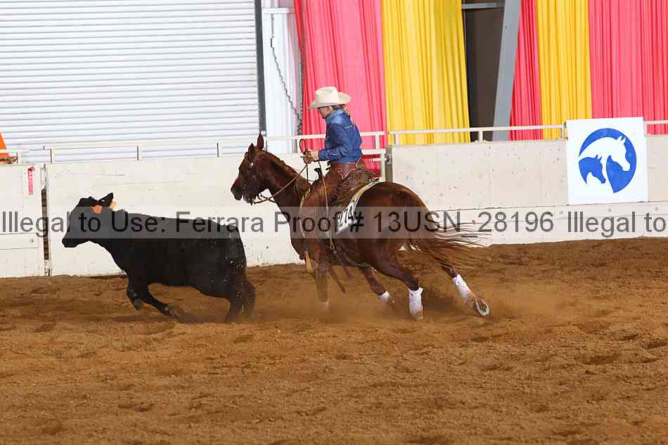 Proof 13usn_28196