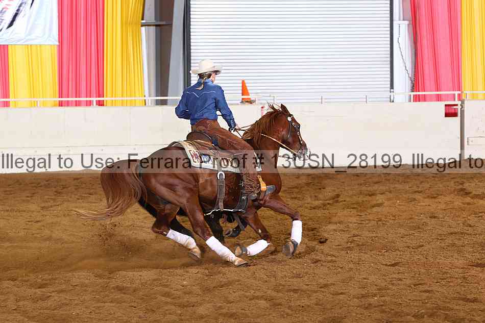 Proof 13usn_28199