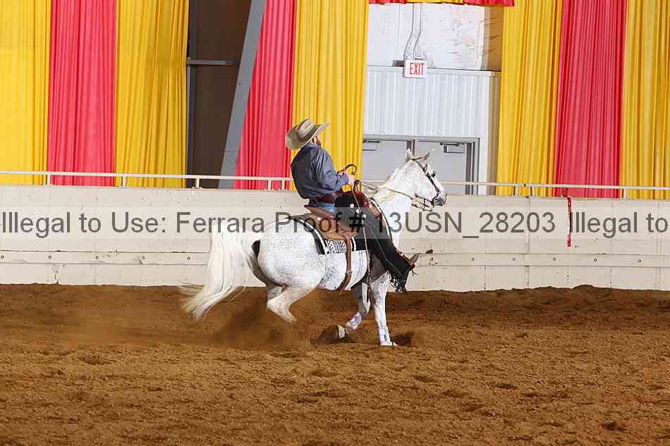 Proof 13usn_28203
