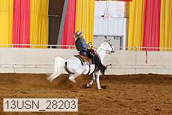 13usn_28203 proof