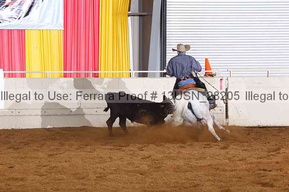 Proof 13usn_28205