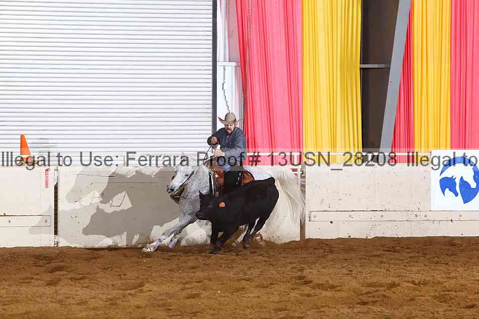 Proof 13usn_28208