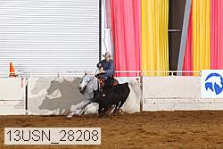 13usn_28208 proof