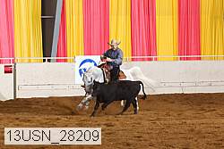 13usn_28209 proof