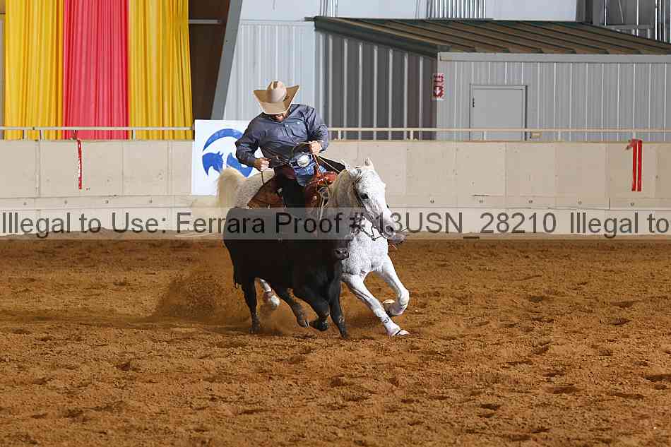 Proof 13usn_28210