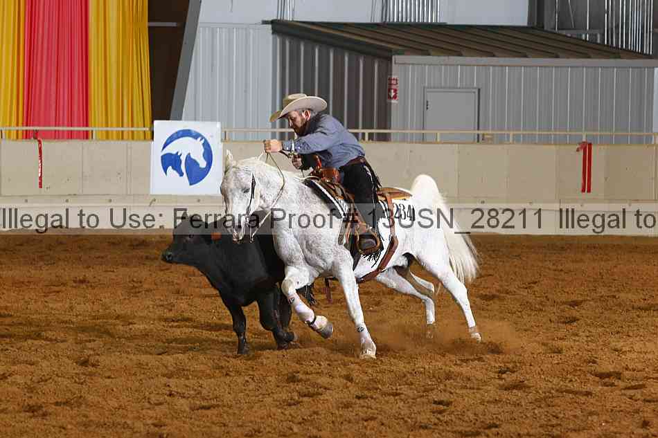 Proof 13usn_28211