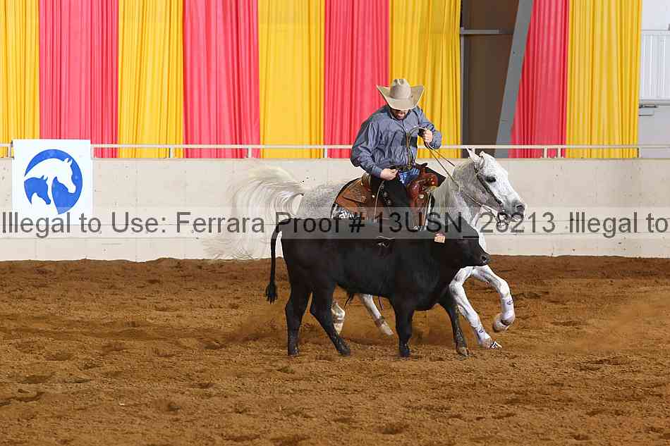 Proof 13usn_28213