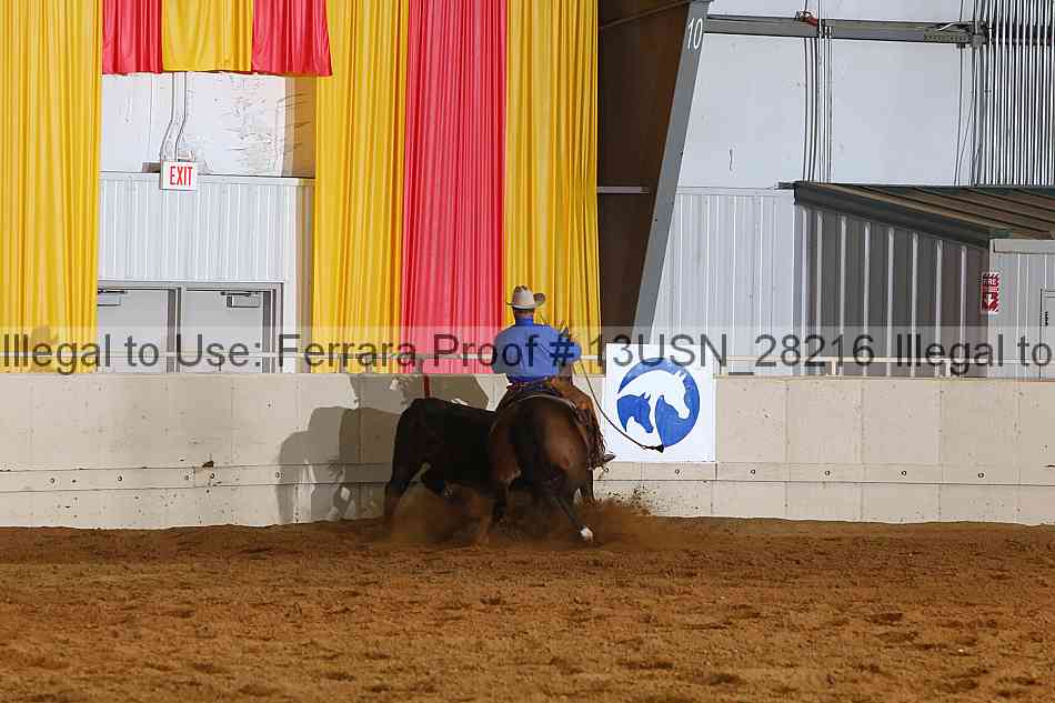 Proof 13usn_28216