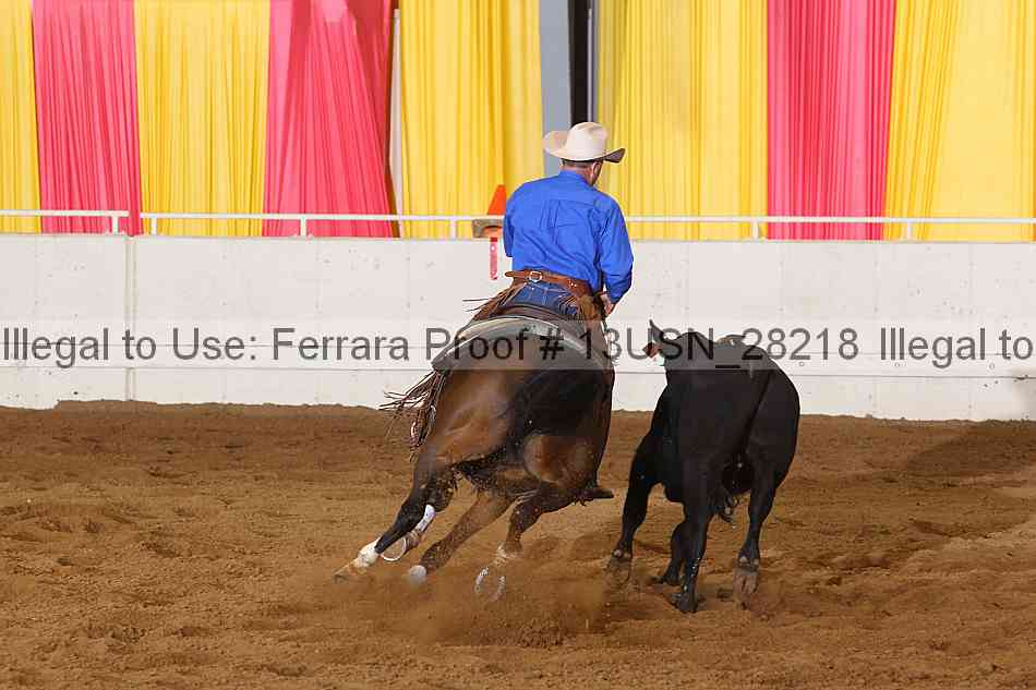 Proof 13usn_28218
