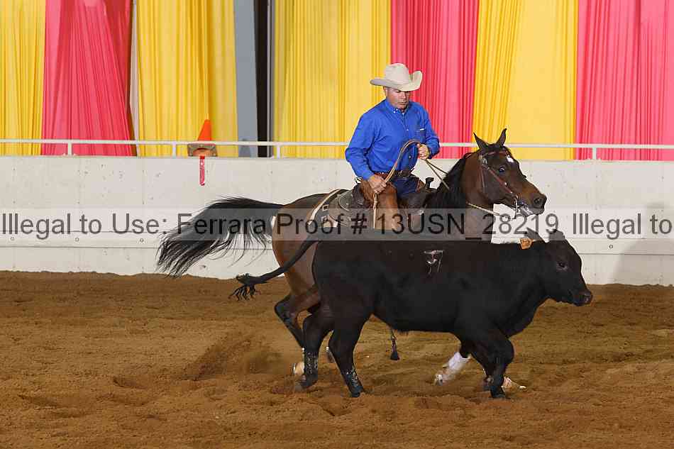 Proof 13usn_28219