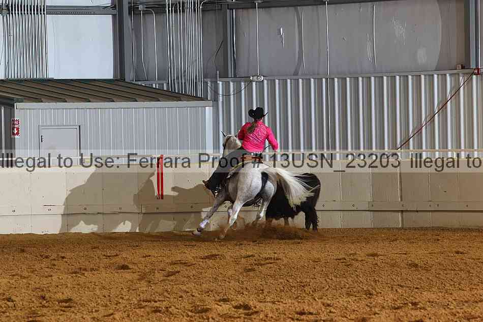 Proof 13usn_23203