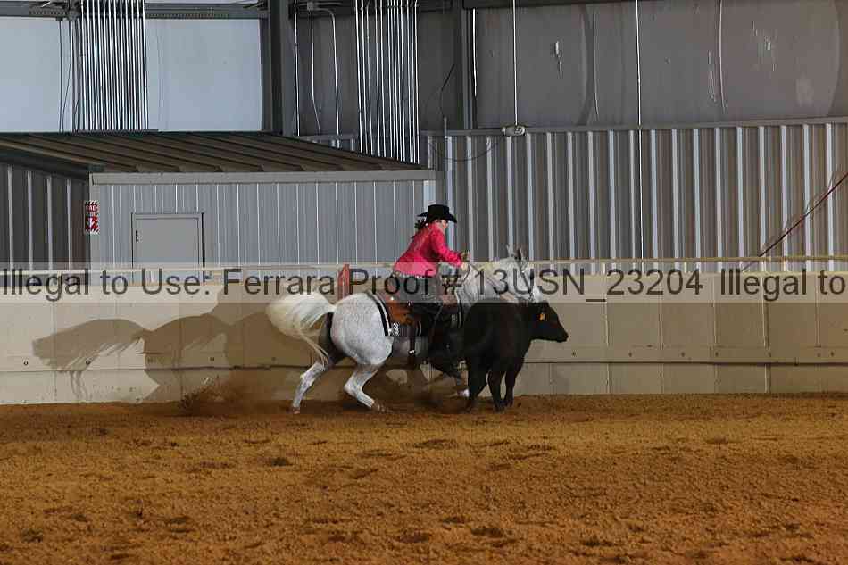 Proof 13usn_23204