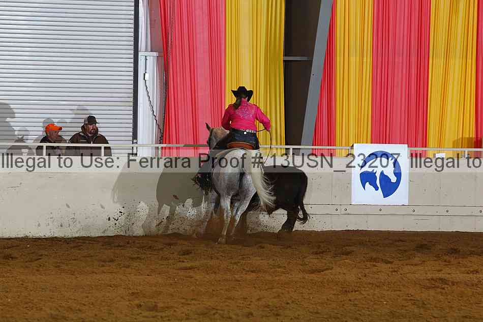 Proof 13usn_23207