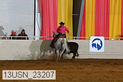 13usn_23207 proof