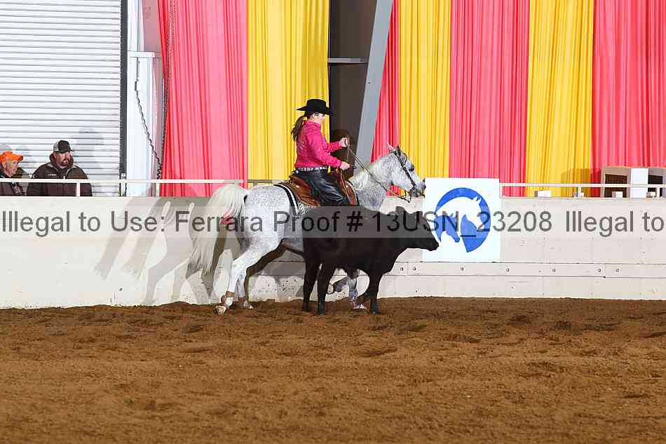 Proof 13usn_23208