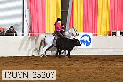 13usn_23208 proof