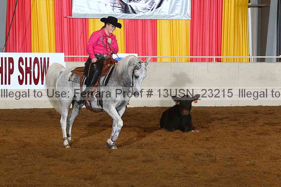 Proof 13usn_23215