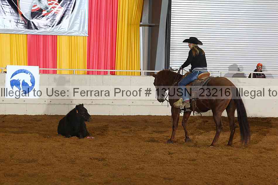 Proof 13usn_23216